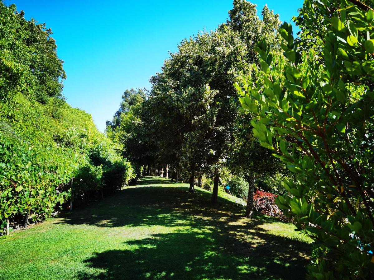 Quinta Do Vale Encantado "The Valley" - Santarem - Portugal Calhariz Kültér fotó