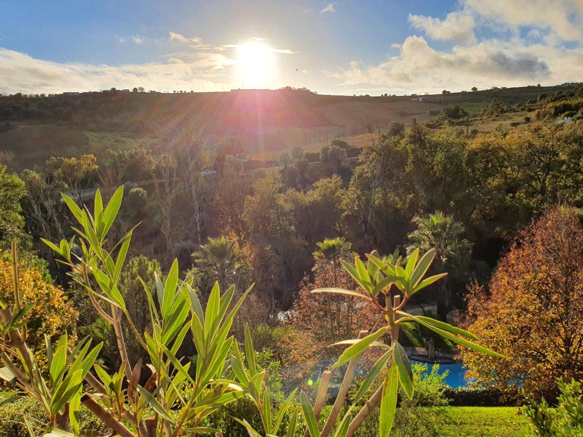 Quinta Do Vale Encantado "The Valley" - Santarem - Portugal Calhariz Kültér fotó